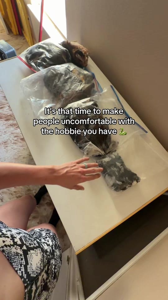 Post 3 by montana_txm on TikTok (video)
