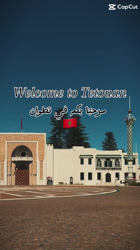 Post 8 by Voyage with Nora on TikTok (video)