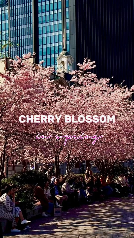 Post 9 by Voyage with Nora on TikTok (video)