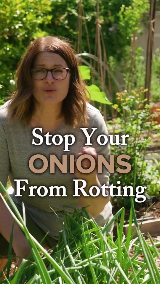 Post 3 by Growing in the Garden on TikTok (video)