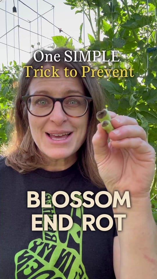 Post 4 by Growing in the Garden on TikTok (video)