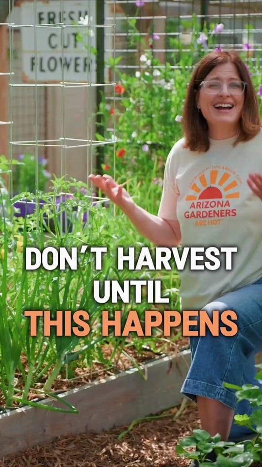 Post 6 by Growing in the Garden on TikTok (video)