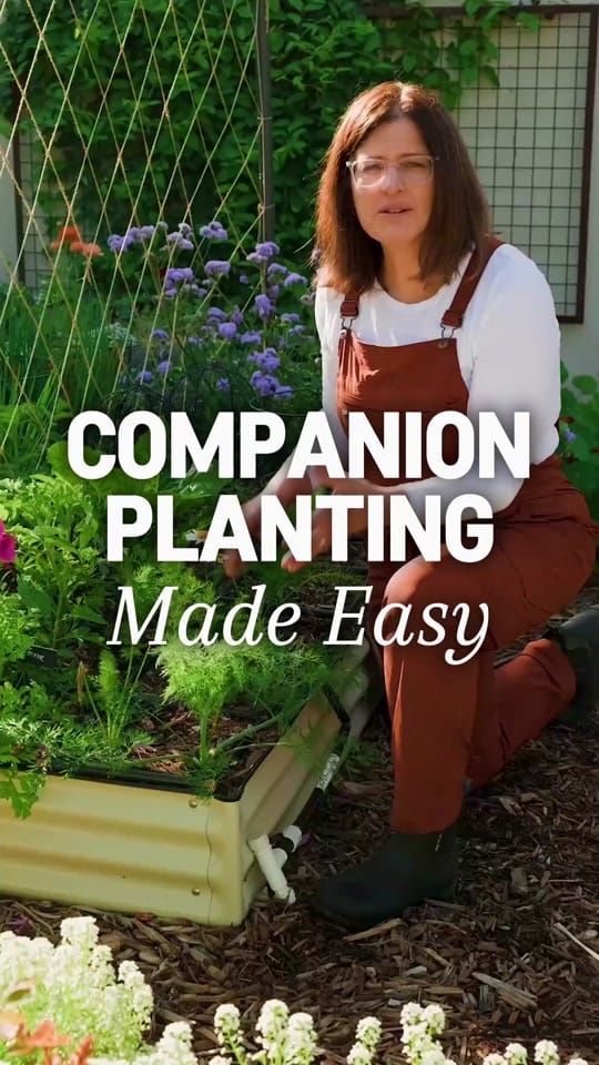 Post 5 by Growing in the Garden on TikTok (video)