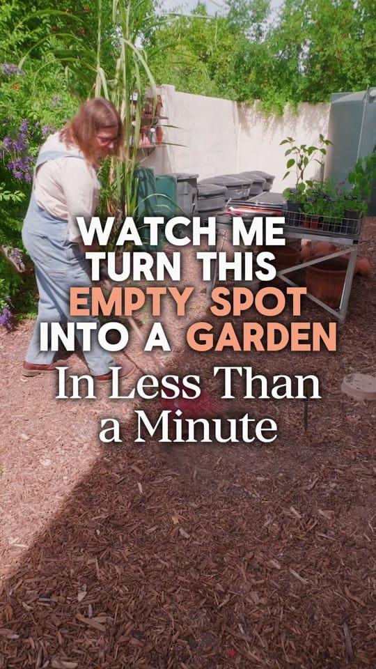 Post 10 by Growing in the Garden on TikTok (video)