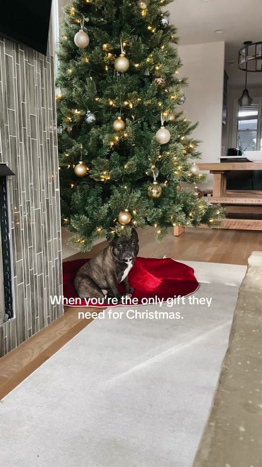 Post 8 by Darius Brodesser on TikTok (video)