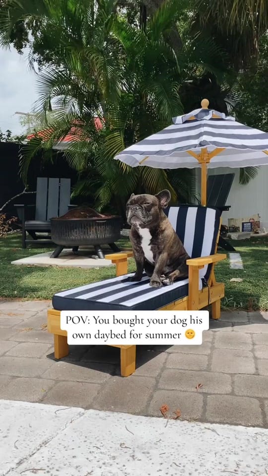 Post 10 by Darius Brodesser on TikTok (video)