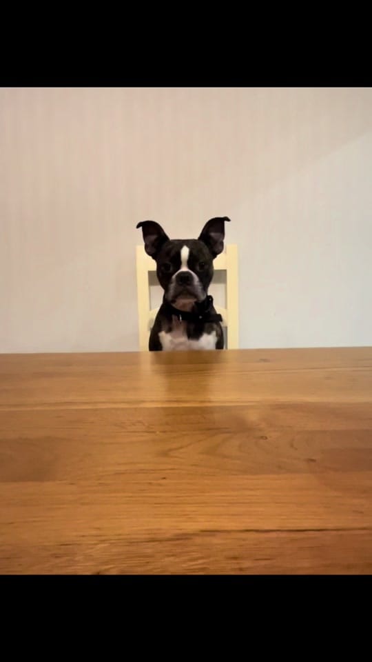Post 9 by 💥 TOPDOG 💥 on TikTok (video)