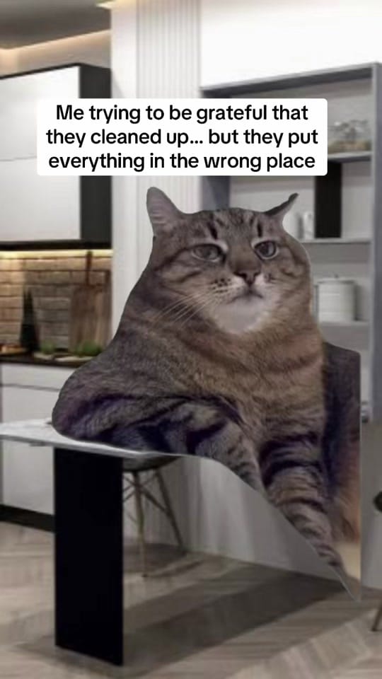 Post 7 by Daily Memes on TikTok (video)