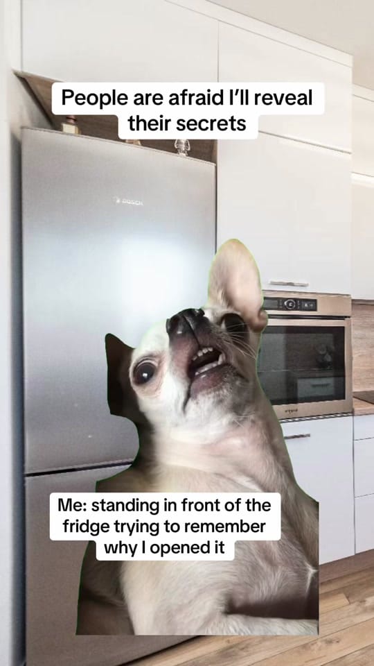 Post 8 by Daily Memes on TikTok (video)