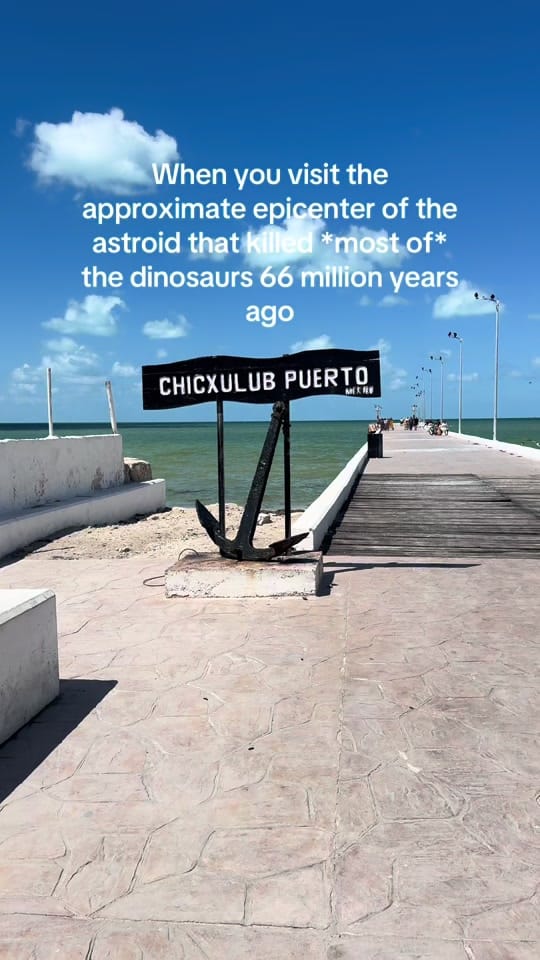 Post 8 by Lydia Stoyanova ✈️ on TikTok (video)