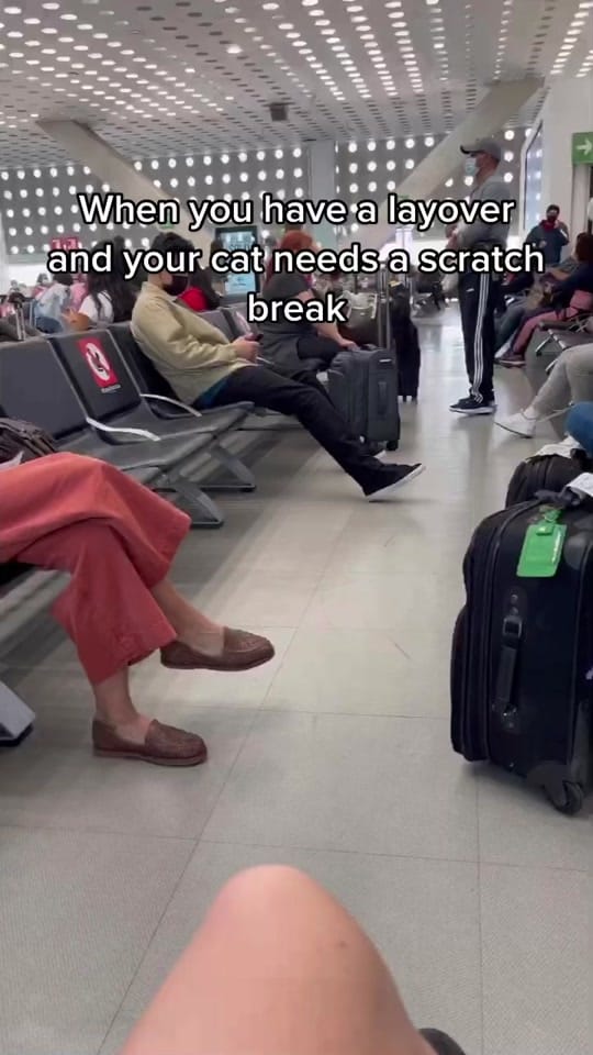 Post 10 by Lydia Stoyanova ✈️ on TikTok (video)
