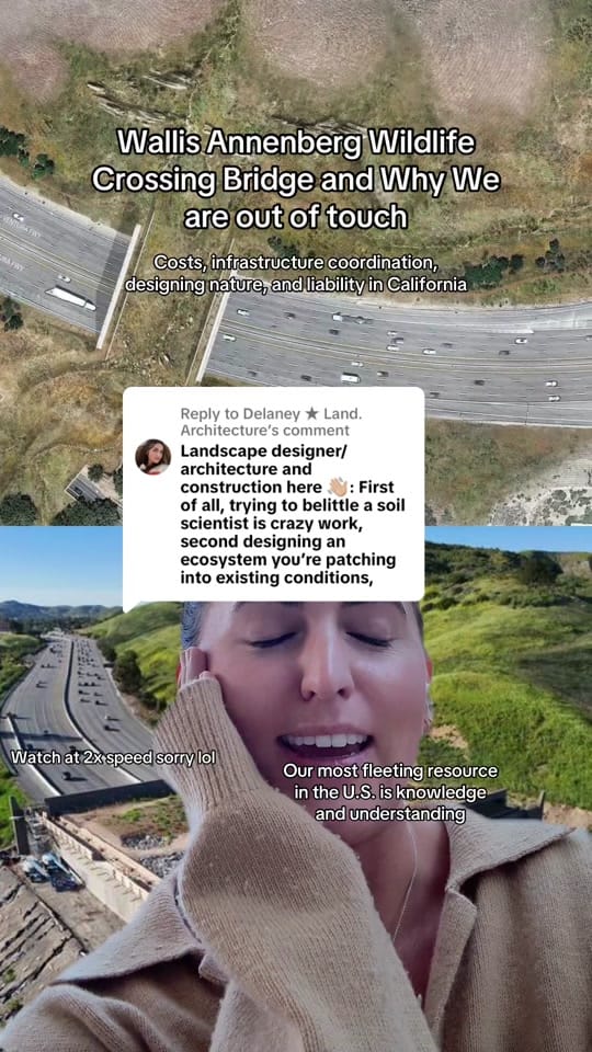 Post 8 by Delaney ★ on TikTok (video)