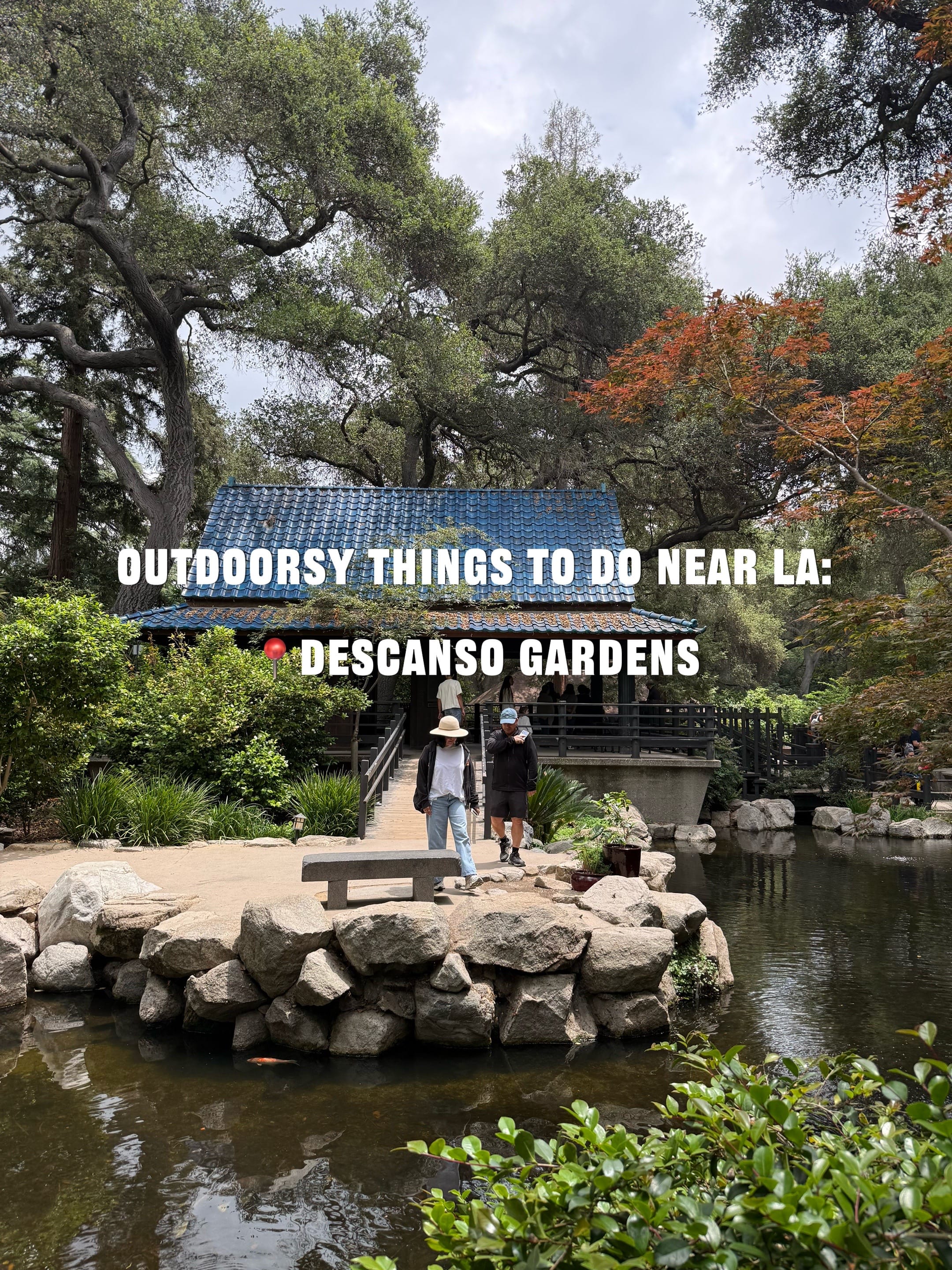 Post 3 by Delaney ★ on TikTok (video)