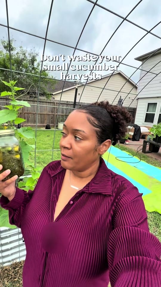 Post 10 by torriangardens on TikTok (video)