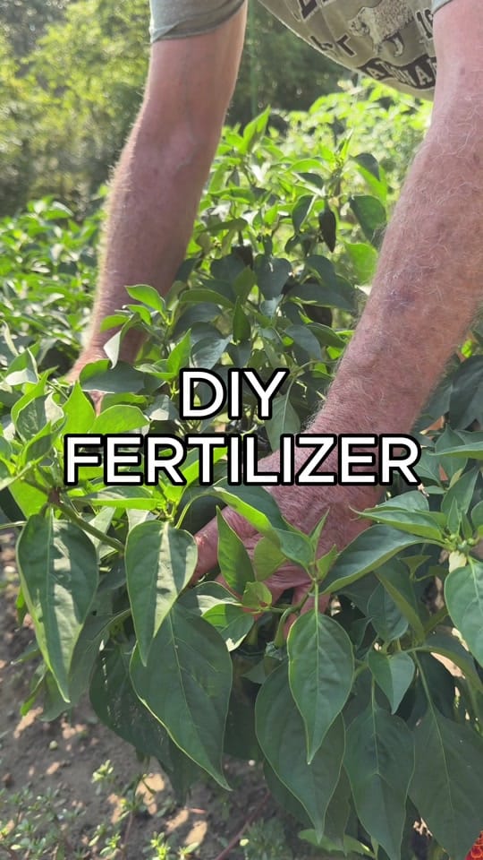 Post 9 by Farmer 🧑‍🌾 on TikTok (video)