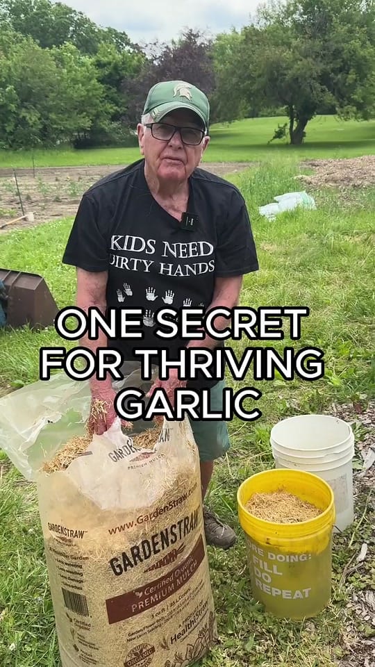 Post 7 by Farmer 🧑‍🌾 on TikTok (video)
