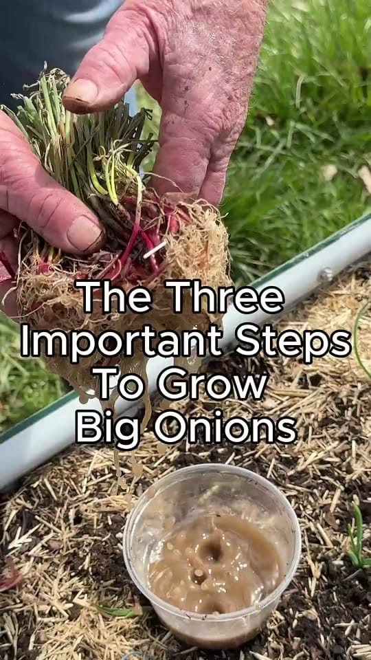 Post 5 by Farmer 🧑‍🌾 on TikTok (video)