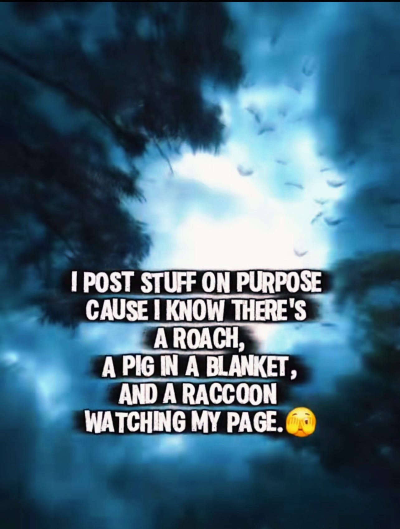 Post 6 by Sarai (BeeGirl) on TikTok (video)