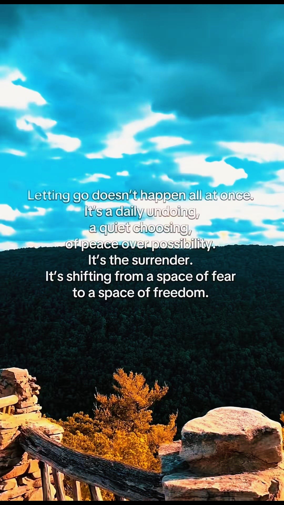 Post 2 by Sarai (BeeGirl) on TikTok (video)