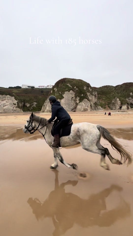 Post 2 by Bespoke Equestrian Ireland on TikTok (video)
