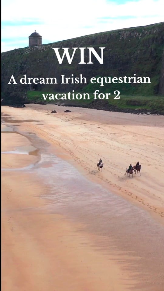 Post 8 by Bespoke Equestrian Ireland on TikTok (video)