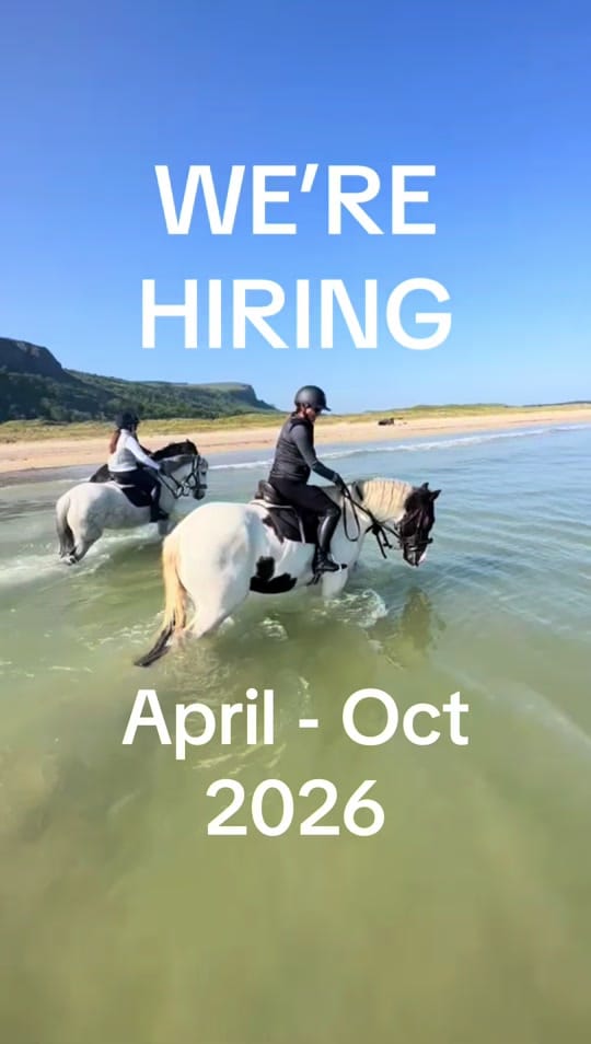 Post 7 by Bespoke Equestrian Ireland on TikTok (video)