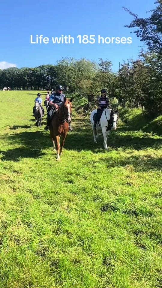 Post 4 by Bespoke Equestrian Ireland on TikTok (video)