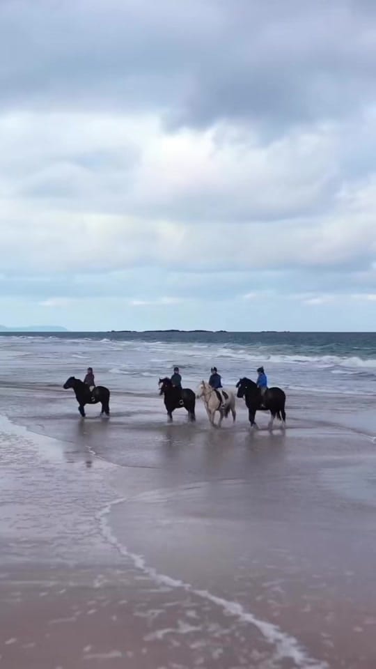 Post 9 by Bespoke Equestrian Ireland on TikTok (video)