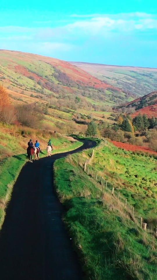 Post 5 by Bespoke Equestrian Ireland on TikTok (video)