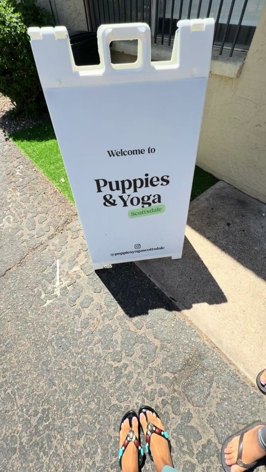 Post 5 by Imoni Sullivan on TikTok (video)
