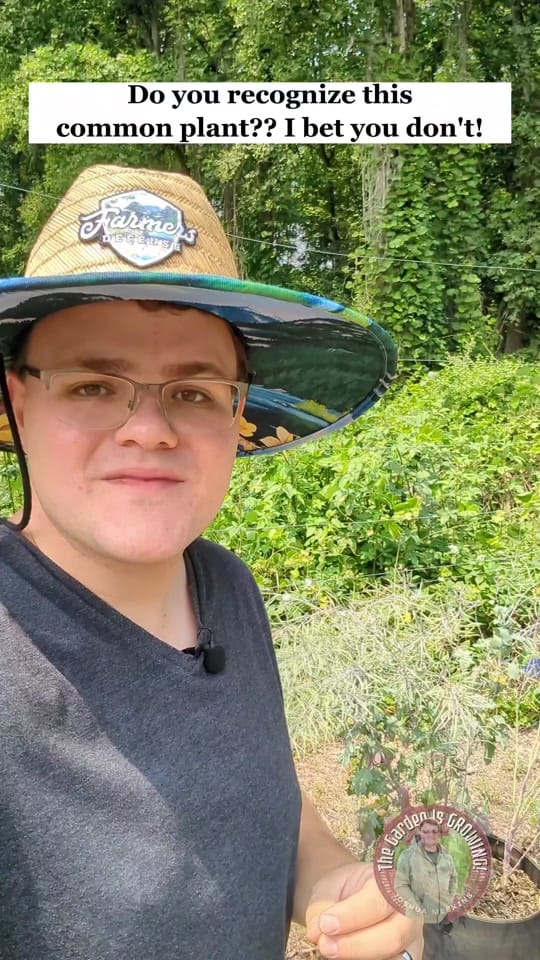 Post 6 by Joshua Meekins TGIG on TikTok (video)