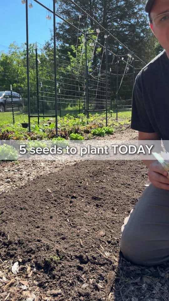 Post 10 by Joshua Meekins TGIG on TikTok (video)