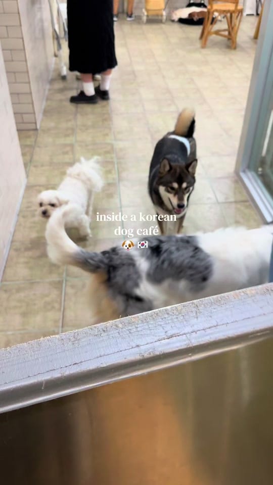 Post 6 by Tolu | Travel & Lifestyle on TikTok (video)