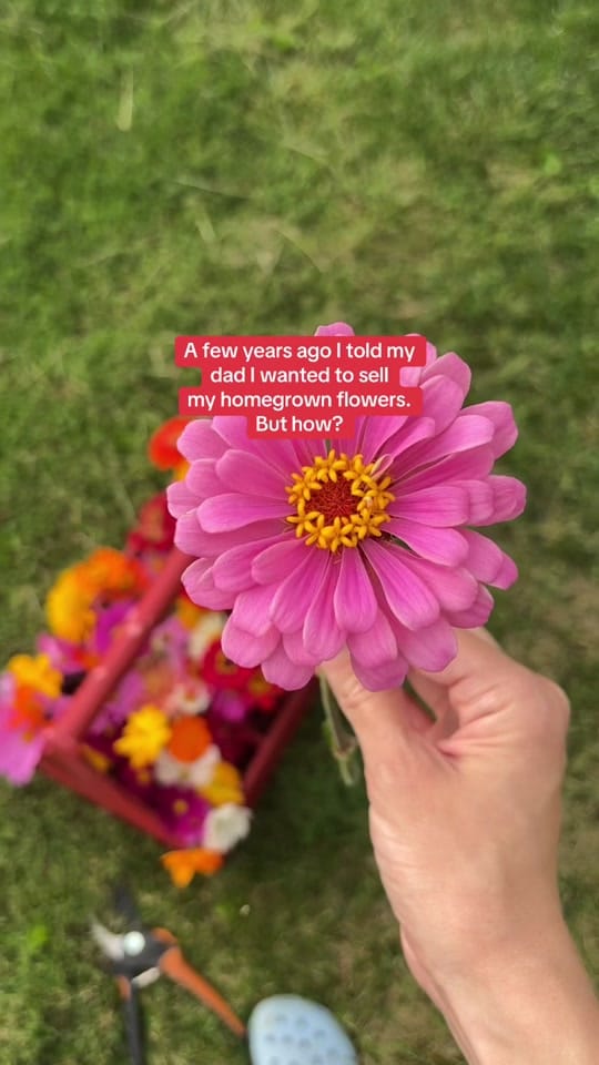 Post 10 by Annie on TikTok (video)
