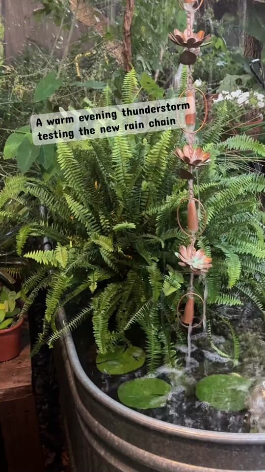 Post 5 by JennieGardens on TikTok (video)