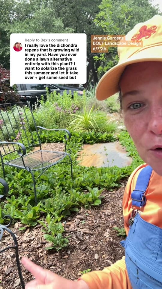 Post 3 by JennieGardens on TikTok (video)