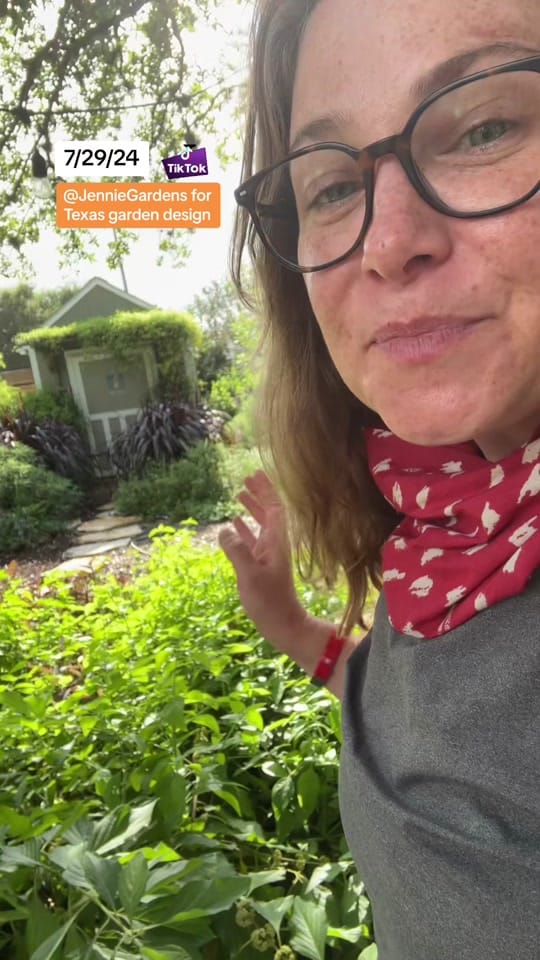 Post 9 by JennieGardens on TikTok (video)
