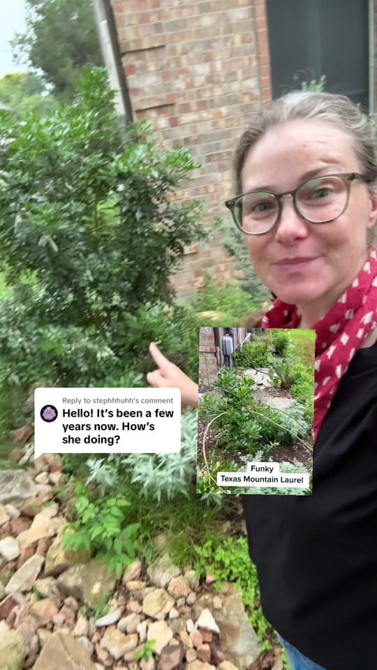 Post 8 by JennieGardens on TikTok (video)