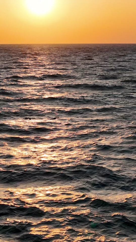 Post 6 by Ross Built on TikTok (video)