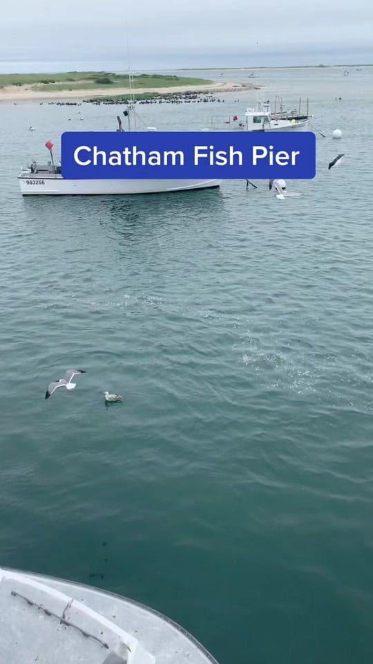 Post 9 by New England Travel App on TikTok (video)