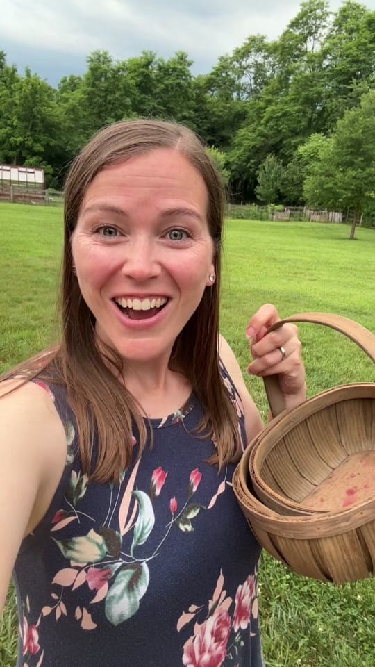 Post 3 by VeryGoodGardening on TikTok (video)