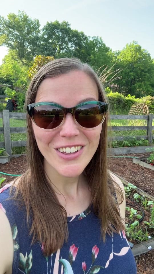 Post 4 by VeryGoodGardening on TikTok (video)