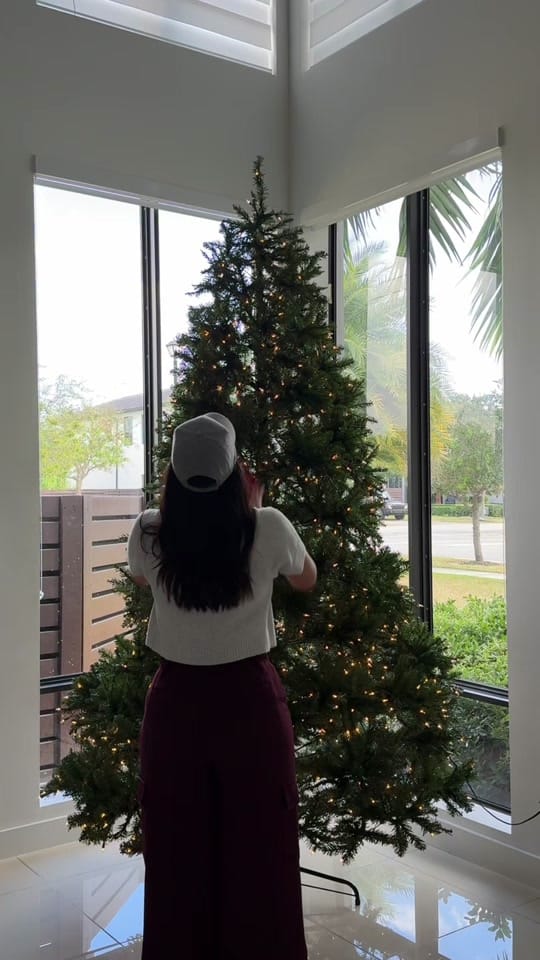 Post 8 by Betzilet Rivas on TikTok (video)