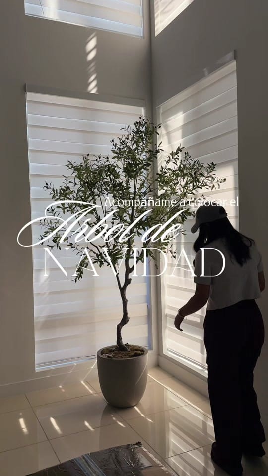 Post 9 by Betzilet Rivas on TikTok (video)