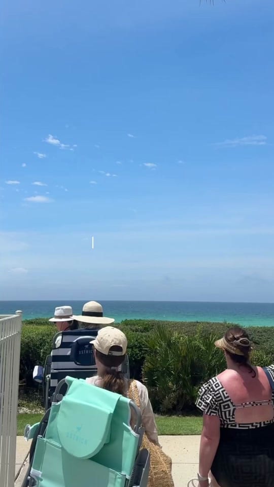 Post 6 by cat dyches on TikTok (video)