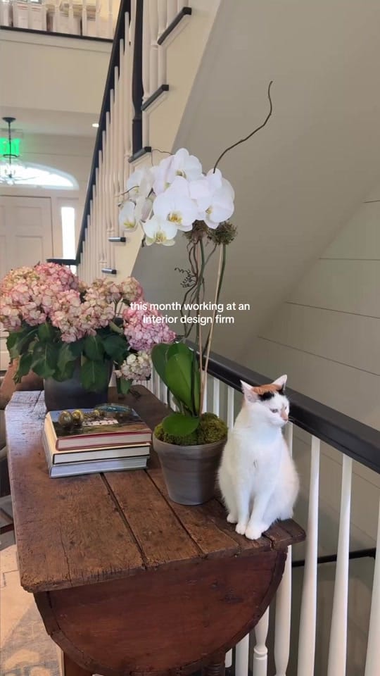 Post 9 by cat dyches on TikTok (video)