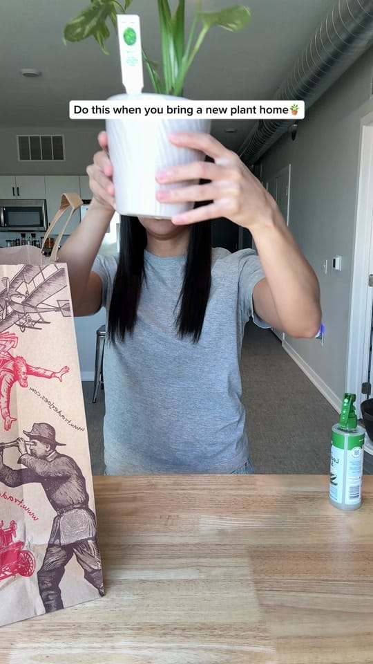 Post 1 by gardeningindoors on TikTok (video)