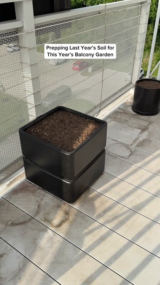 Post 4 by gardeningindoors on TikTok (video)