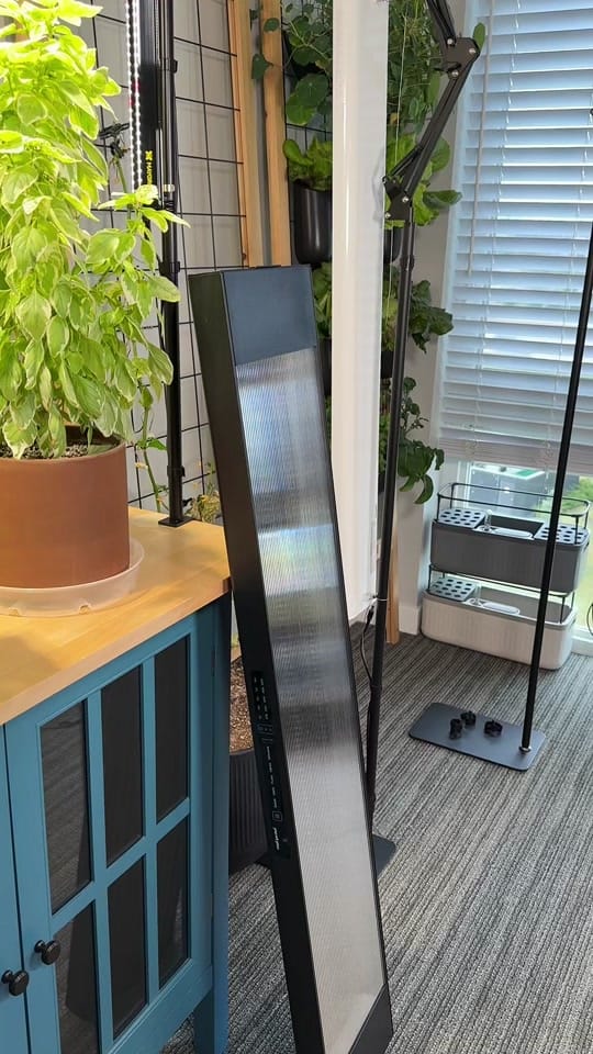 Post 6 by gardeningindoors on TikTok (video)