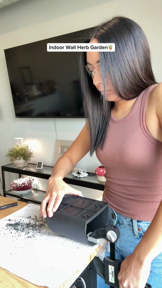 Post 3 by gardeningindoors on TikTok (video)